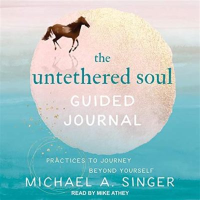  Untethered Soul: A Journey Beyond Yourself -  A Metaphysical Exploration into Freedom and Self-Awareness